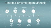 Periode Perkembangan Manusia