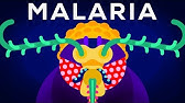 Genetic Engineering and Diseases – Gene Drive & Malaria