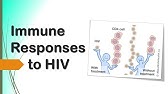 HIV DAN SISTEM IMUN Part 2 (Respon Imun terhadap HIV)