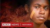 Lara di hutan Papua: Ancaman serius pembukaan lahan demi sawit - BBC News Indonesia