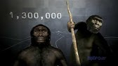 Becoming Human (Episode 1) - First Steps