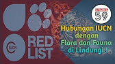 Pengertian, Sejarah dan 9 Kategori IUCN Red List untuk Mengetahui Status Kepunahan Suatu Jenis
