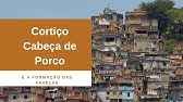 O Cortiço "Cabeça de Porco" o início das Favelas. História do Brasil.