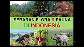 GEO XI. 10. Persebaran Flora dan Fauna di Indonesia.