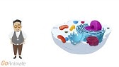 Fluids and Electrolyes: Water
