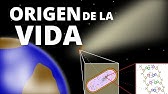 10 teorías del origen de la vida (fácil de entender). Biología🦠