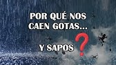 ¿Cómo se produce la lluvia y las nubes? ¿Por qué llueve?