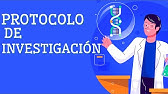 ¿Qué es un protocolo de investigación? (con ejemplos)🔎