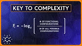 Is Information a Fundamental Force of the Universe?