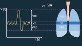 Exploración respiratoria para estudiantes de Fisioterapia. Parte 1: espirometría simple