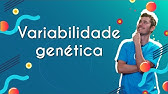 Variabilidade genética - Brasil Escola