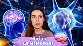 Cómo funciona LA MEMORIA