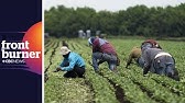 Canada’s migrant workers face modern 'slavery': UN report | Front Burner