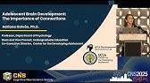 CNS 2025: Keynote Address by Adriana Galván, "Adolescent Brain Development"