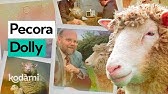 La clonazione della pecora Dolly