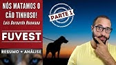NÓS MATAMOS O CÃO TINHOSO | PARTE 1/4 | FUVEST | Luís Bernardo Honwana | Resumo + Análise