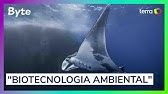 Como a biotecnologia ambiental transforma a natureza