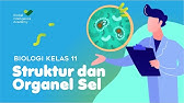 BIOLOGI Kelas 11 - Struktur dan Organel Sel | GIA Academy