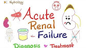 Acute Renal Failure (ARF) - Azotemia - Acute Kidney Injury (AKI) -Diagnosis & Treatment