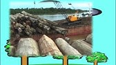 Conserving Philippine Biodiversity