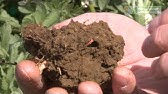 Techniques to Improve Soil Health - Learning From The Land