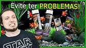 Montou um Aquário de KINGUIOS? Veja esse VÍDEO!