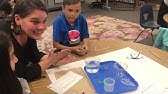 Next Generation Science Standards Lesson