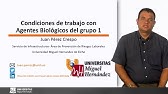 7. Condiciones de trabajo con agentes biológicos del grupo 1