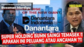 DANANTARA ITU ANCAMAN ATAU PELUANG ?!! BISAKAH SUPER HOLDING INI KALAHKAN TEMASEK?! - Mardigu Wowiek