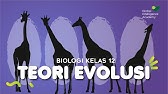 BIOLOGI Kelas 12 - Teori Evolusi | GIA Academy