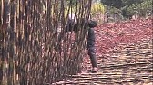 Documentário mostra o cotidiano e condições de trabalho de cortadores de cana-de-açucar