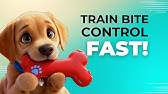 Stop Puppy Biting FAST! 🛑 Teach Your Pup Gentle Play!