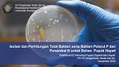 Isolasi dan Perhitungan Total Populasi Bakteri dari Tanah (Part 1)