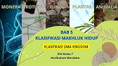 BAB 5 Klasifikasi Makhluk Hidup Lima Kingdom || IPA Kelas 7 Kurikulum Merdeka