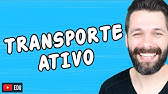 TRANSPORTE ATIVO - CITOLOGIA | Biologia com Samuel Cunha