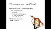 Social Psychology - Lecture 9 - Part 1 - Why We Affiliate