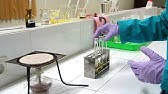 Biokimia Praktikum Lipid - IKATAN JENUH DAN IKATAN TAK JENUH