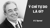 Thần Học: Ý Chí Tự Do Là Gì? | RC Sproul