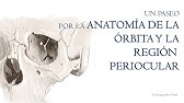 Anatomía de la órbita ocular y los párpados