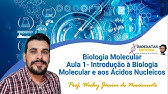 Biologia Molecular -Aula 00- Ácidos Nucleicos em Foco: Uma Introdução à Biologia Molecular