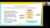 Metab KH part 2