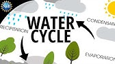 Water Cycle | How the Hydrologic Cycle Works