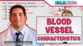 Cardiovascular | Blood Vessel Characteristics