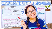 Clase: CONSOLIDACIÓN PRIMARIA Y SECUNDARIA - Suelos | Aprendeli