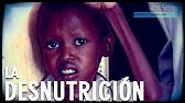 La desnutrición: Documental Completo