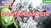 Bantai Bakteri - Alur Cerita Anime Hataraku Saibou