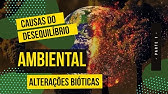 Desequilíbrio ambiental [Parte 1] - Alterações Bióticas [ENEM]