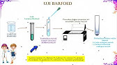 Uji Karbohidrat - Molisch, Iodium, Barfoed, Benedict, Seliwanoff, dan Osazon