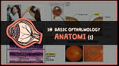 ANATOMI MATA paket Lengkap part 1 #1 BASIC OPTHALMOLOGY