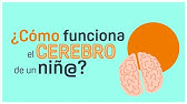 ⚡NEUROCIENCIA y APRENDIZAJE🤓 - ¡¿CÓMO FUNCIONA el CEREBRO de un NIÑO?! | Educar Con Autoestima